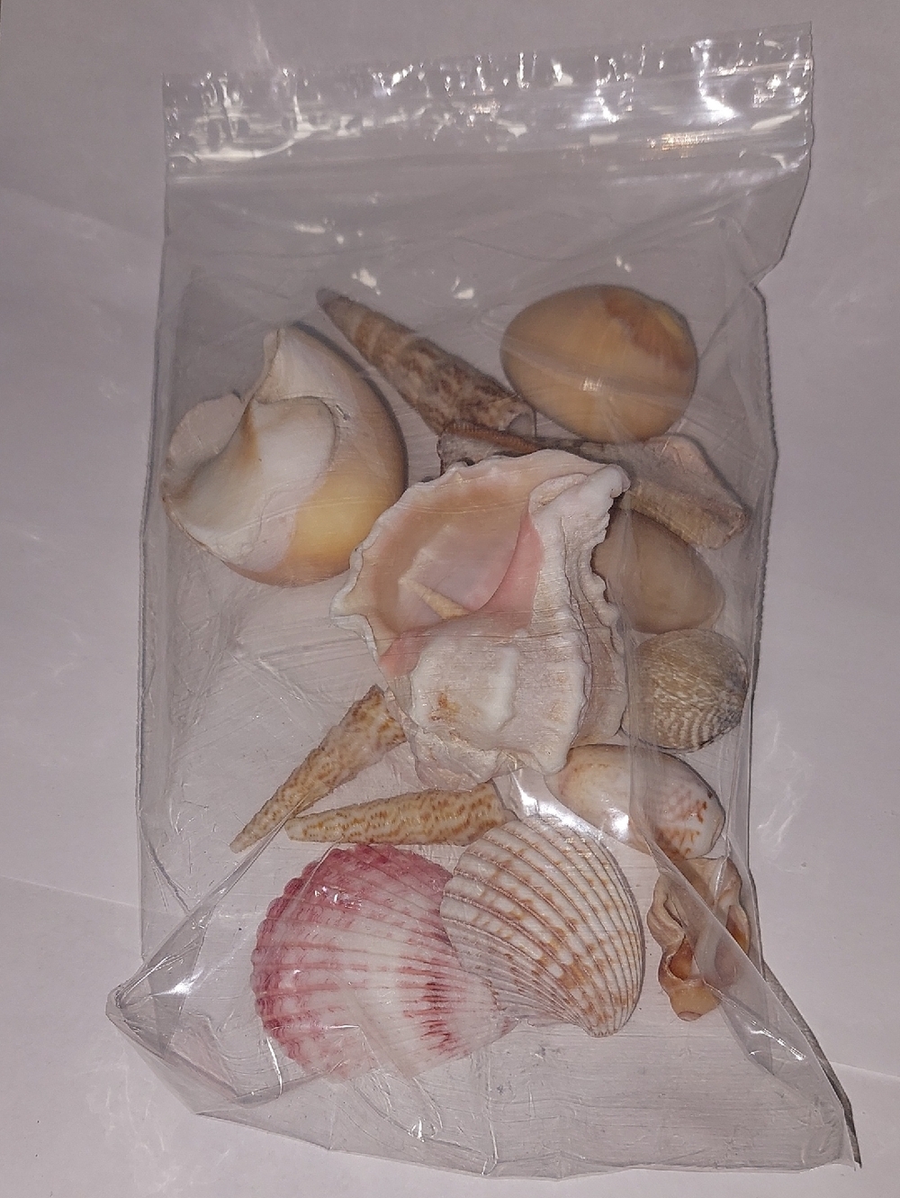 Assorted Natural Seashell Mix - Pink & Cream Tones